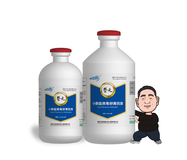 小鹅瘟病毒卵黄抗体