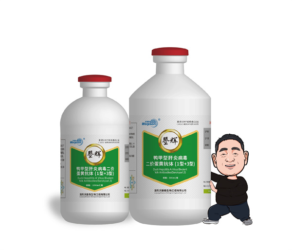 鸭甲型肝炎病毒二价蛋黄抗体 (1型+3型)