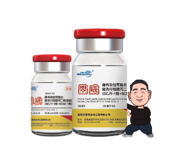 猪传染性胃肠炎、猪流行性腹泻二联活疫苗