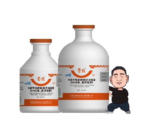 牛结节性皮肤病灭活疫苗