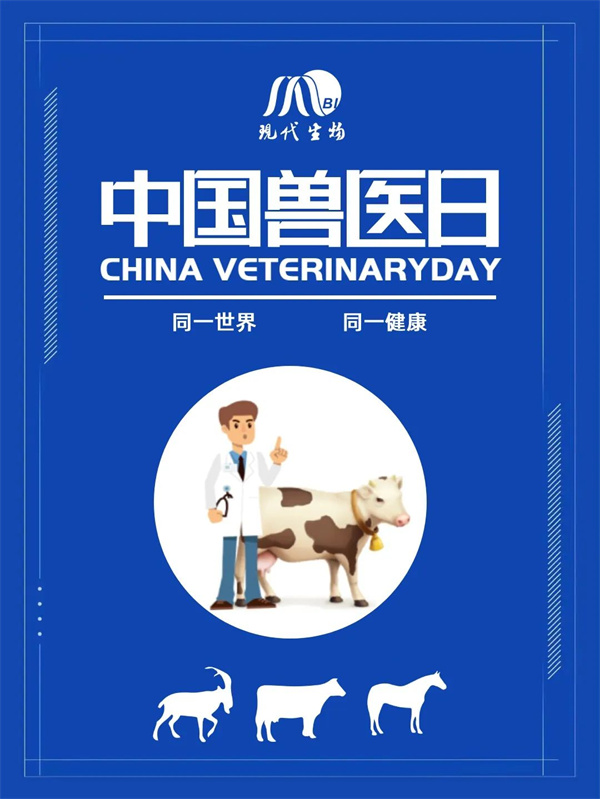 China Veterinary Medicine Day丨African swine fever fluorescent microsphere antibody detection - more stable and easier